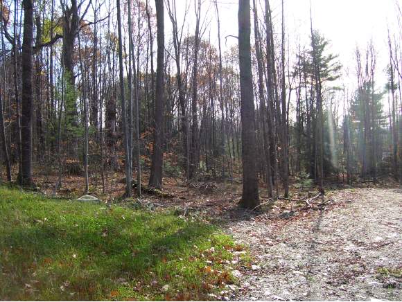 Lot 1 Butternut Lane Swanton, VT 05488 - Photo 1 of 1 Gallery Image 1