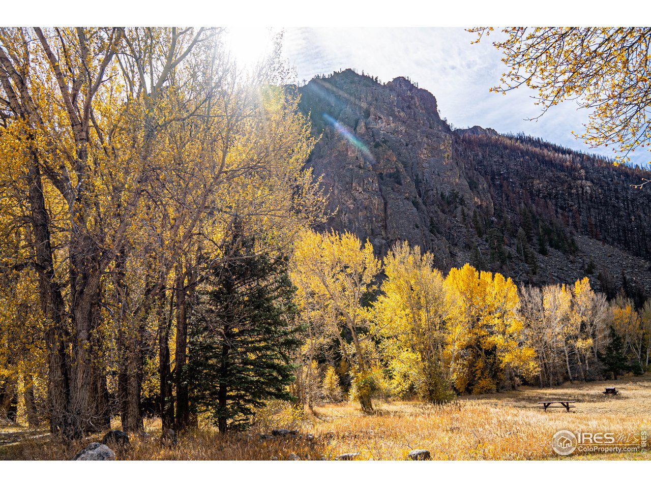 37797 Poudre Canyon Road Bellvue, CO 80512 - Photo 7 of 15 a view of outdoor space and mountain