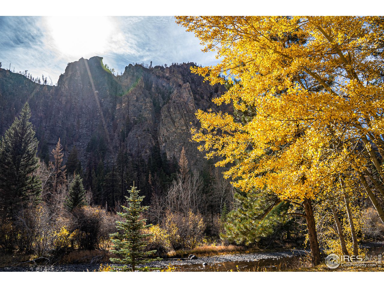 37797 Poudre Canyon Road Bellvue, CO 80512 - Photo 8 of 15 a view of outdoor space and tree