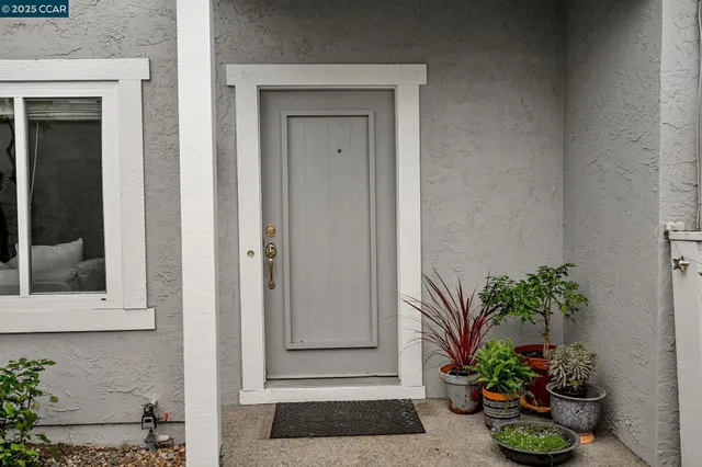 a potted plant sitting in front of a door