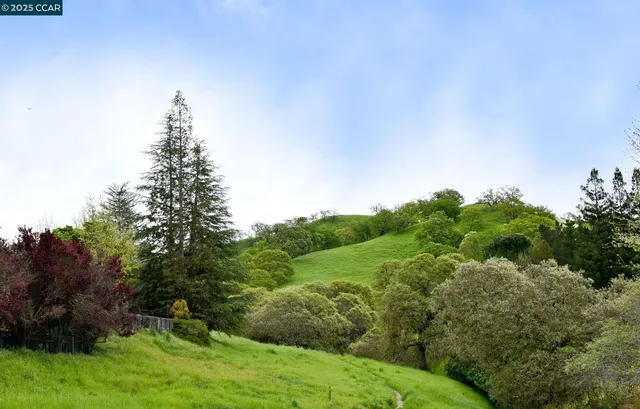 a view of a green field with lots of bushes