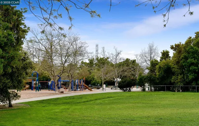 a view of a park with trees