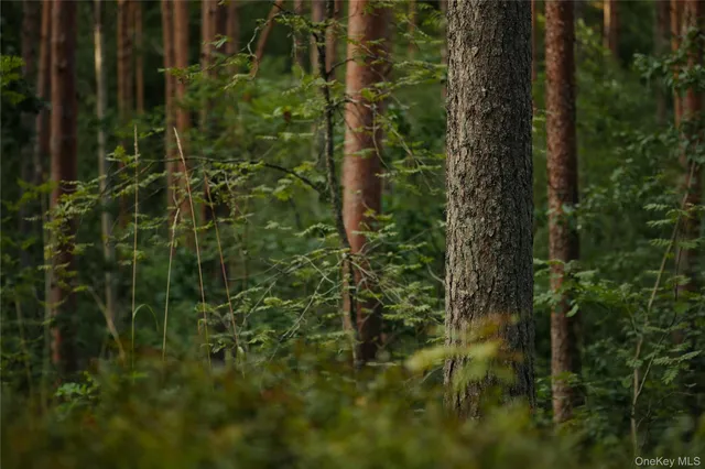 a view of residential area