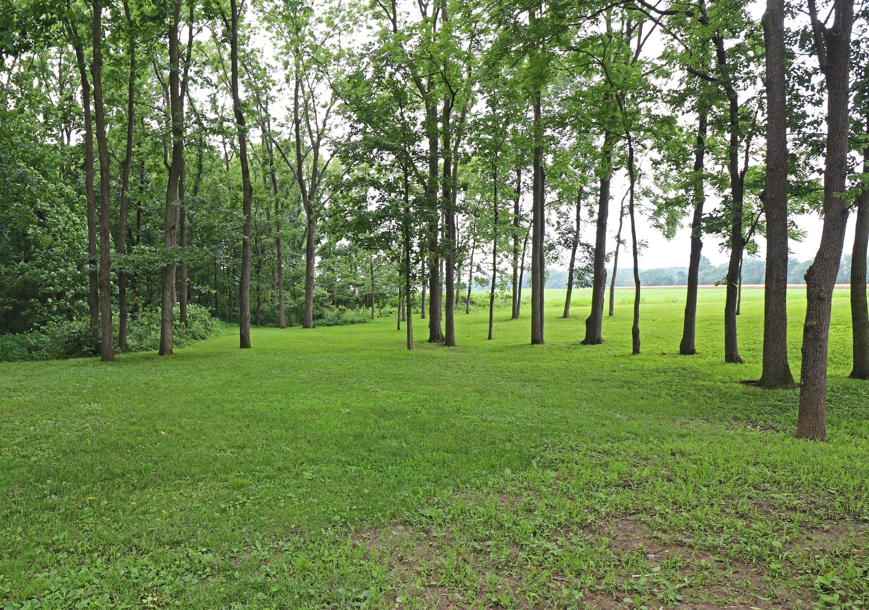 2711 Fairview Road La Rue, OH 43332 - Photo 33 of 50 Gallery Image 33