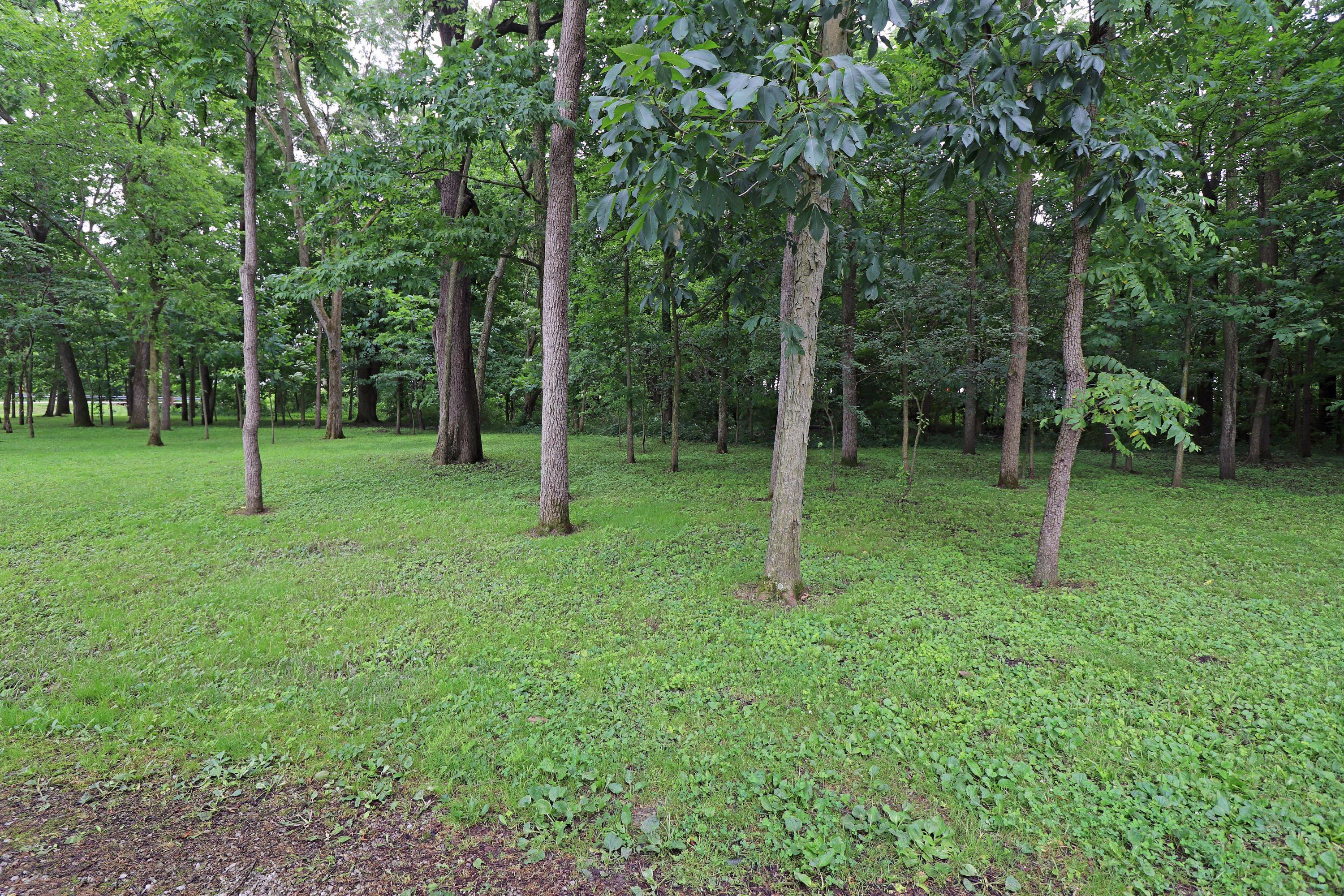 2711 Fairview Road La Rue, OH 43332 - Photo 40 of 50 Gallery Image 40