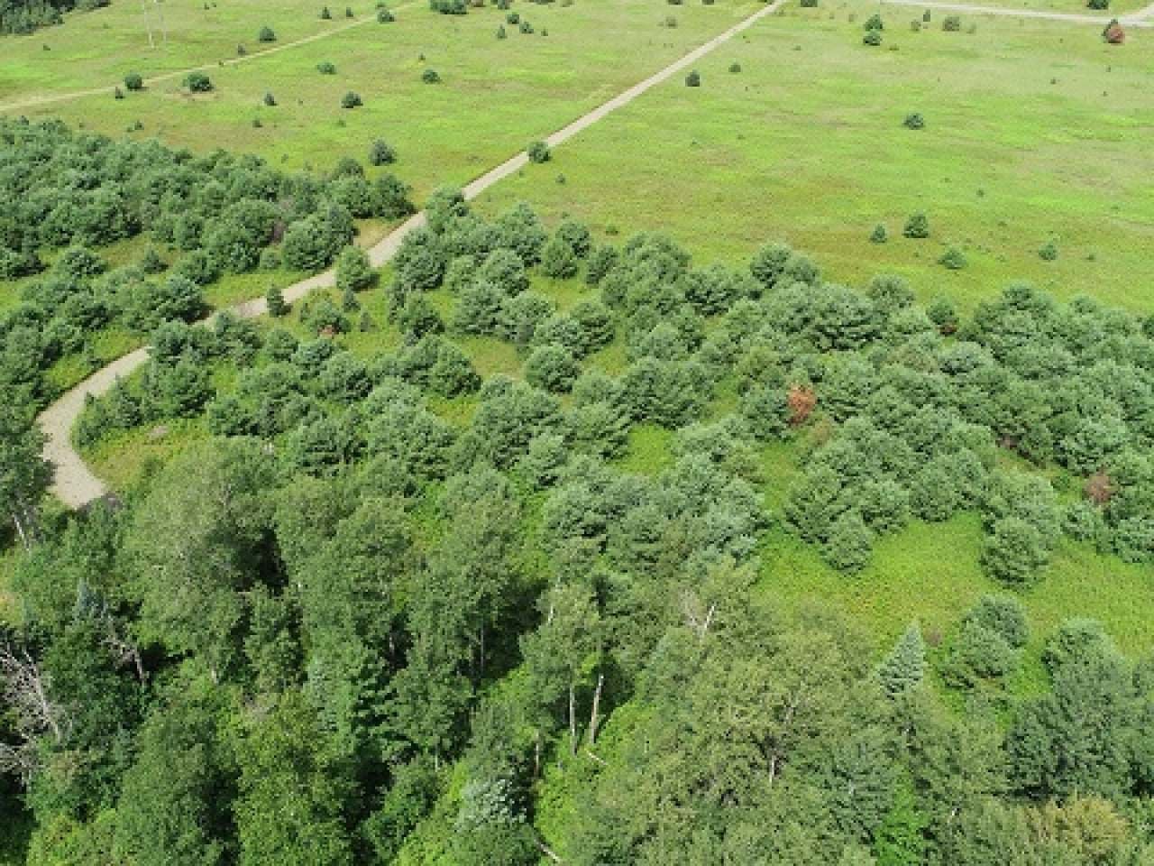 5445 Weber Lake Road Mercer, WI 54547 - Photo 2 of 23 Gallery Image 2