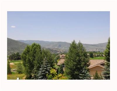 723 June Creek Road Edwards, CO 81632 - Photo 12 of 12 Additional Photo