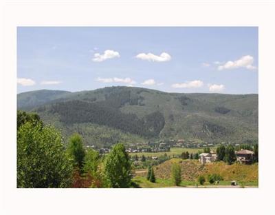 723 June Creek Road Edwards, CO 81632 - Photo 10 of 12 Additional Photo