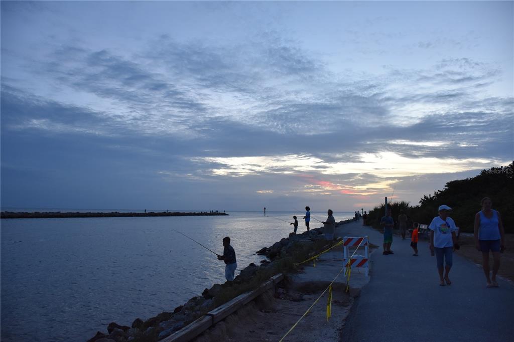 1315 Pine Needle Road Venice, FL 34285 - Photo 41 of 52