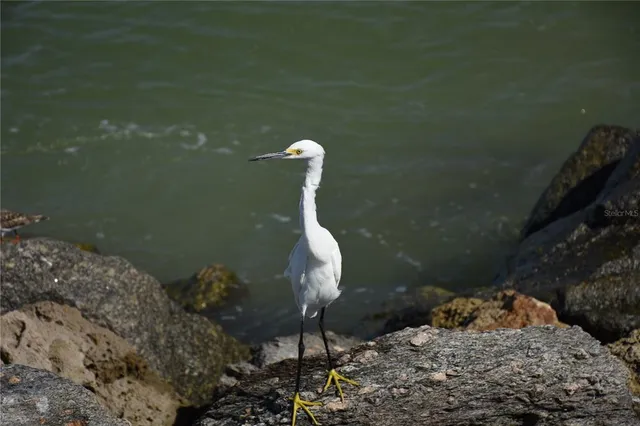 a lake view with boat and lake view