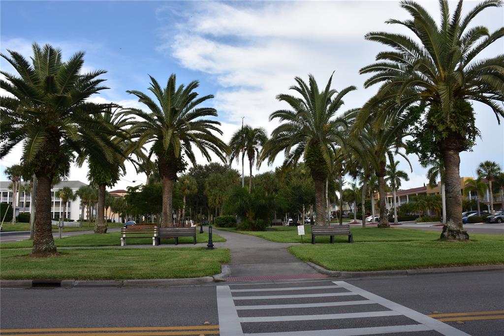 1315 Pine Needle Road Venice, FL 34285 - Photo 47 of 52 a view of a park with palm trees