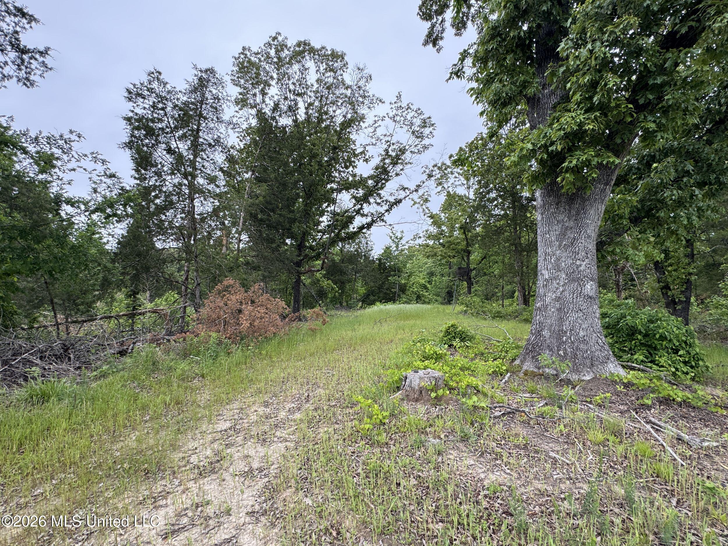 Wayne Massie Road Como, MS 38619 - Photo 89 of 184 5cdtbs20