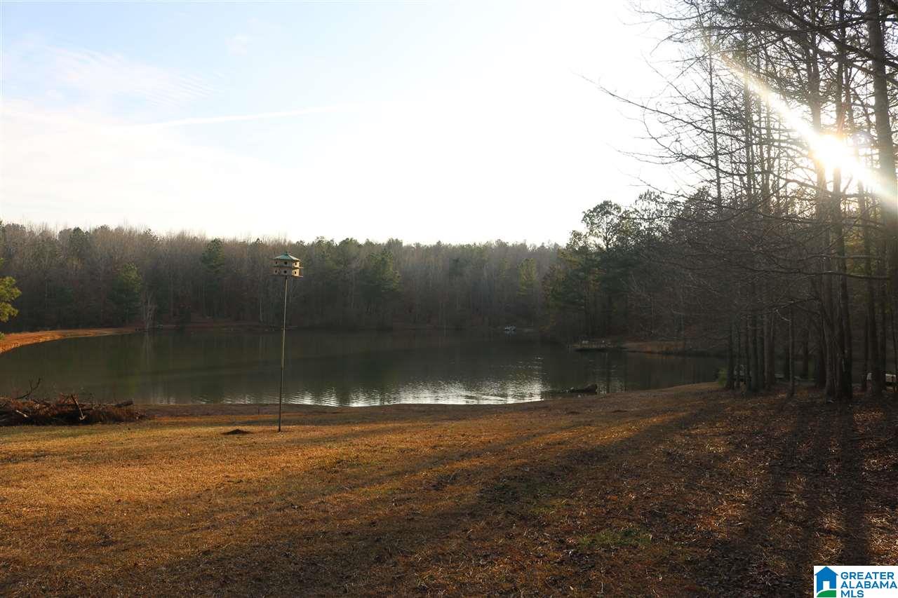 0 County Road 928, Unit 36 Delta, AL 36258 - Photo 12 of 20