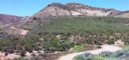 a view of a dry yard with lots of bushes
