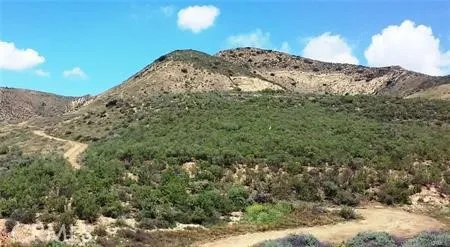 a view of a dry yard