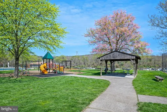 a view of a park with large trees