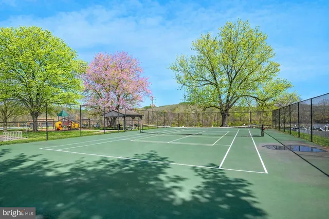 a view of a park with large trees
