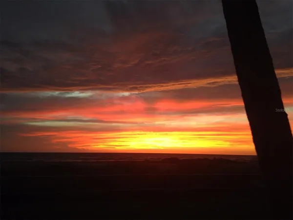 $1,600 | 634 Bird Bay Drive East, Unit 102, Venice, FL 34285