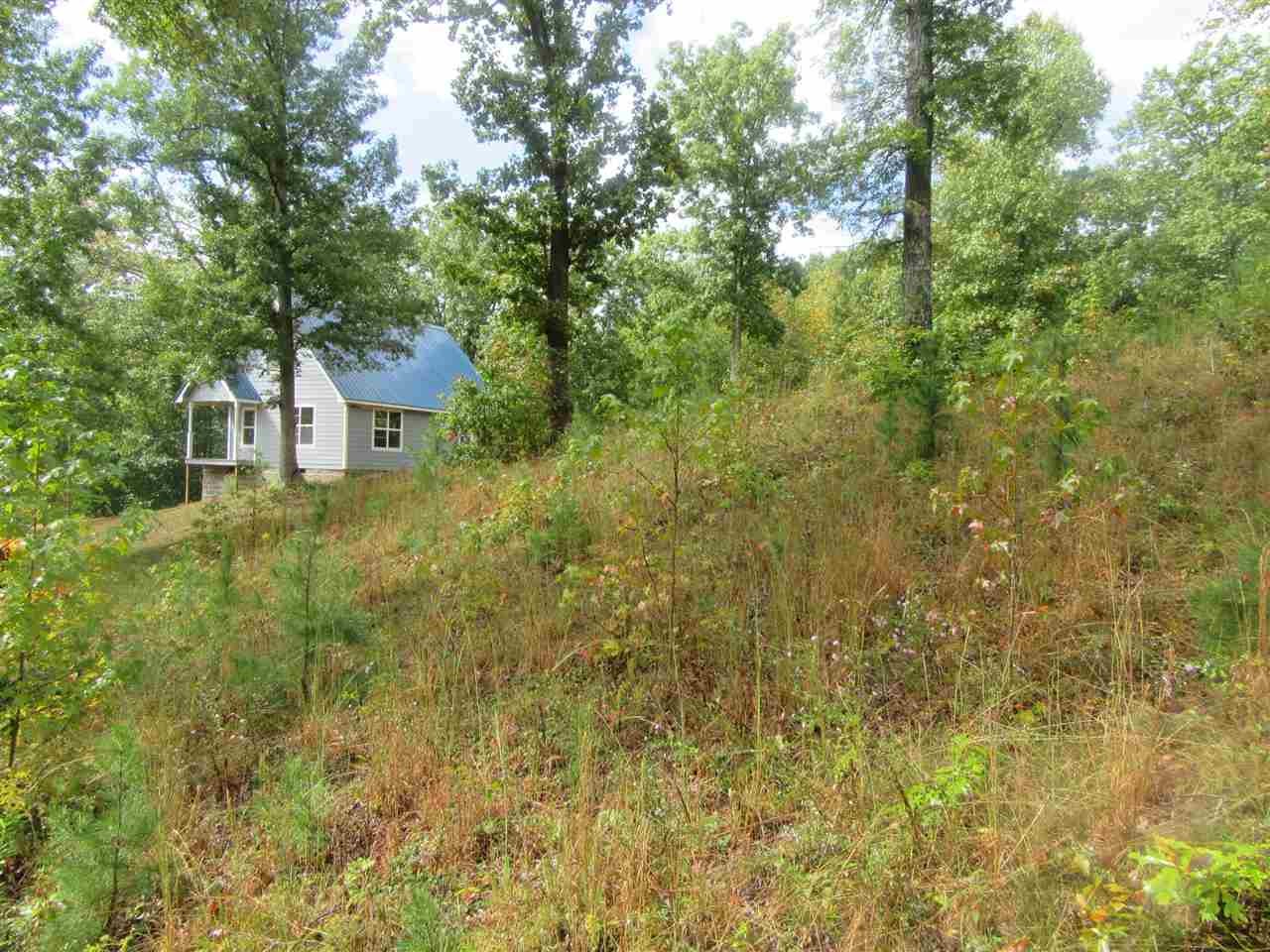 0 Pickwick Ridge Counce, TN 38326 - Photo 2 of 6