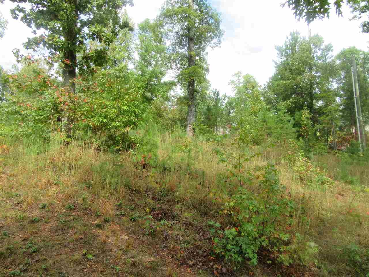 0 Pickwick Ridge Counce, TN 38326 - Photo 3 of 6