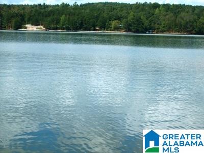 1292 County Road, Unit 1 45 Wedowee, AL 36278 - Photo 2 of 8