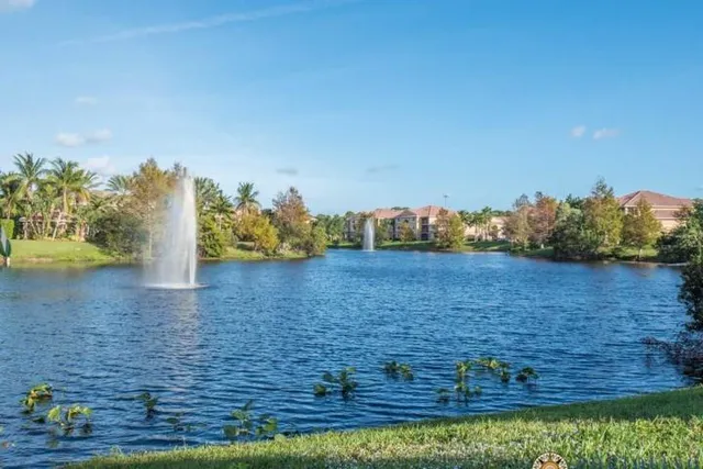 a row of palm trees and a swimming pool
