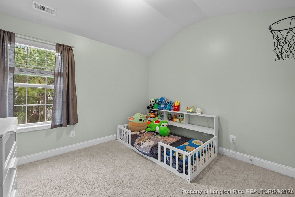 236 Pittfield Run Cameron, NC 28326 - Photo 24 of 31