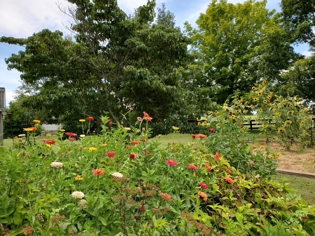 4929 Snow Creek Road Santa Fe, TN 38482 - Photo 22 of 51