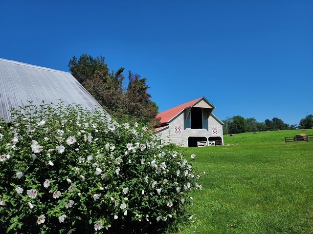 4929 Snow Creek Road Santa Fe, TN 38482 - Photo 23 of 51