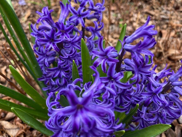 4929 Snow Creek Road Santa Fe, TN 38482 - Photo 28 of 51