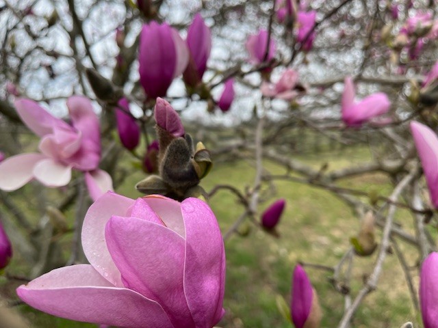 4929 Snow Creek Road Santa Fe, TN 38482 - Photo 29 of 51