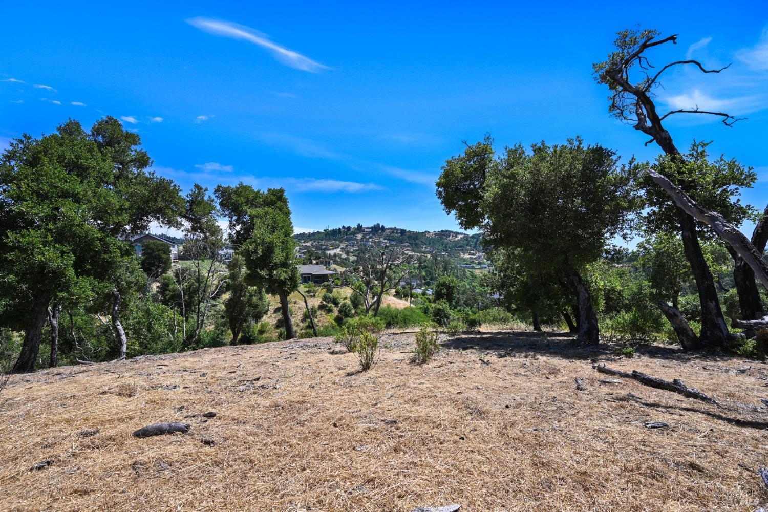 1400 Michele Way Santa Rosa, CA 95404 - Photo 14 of 35 a view of a yard with a tree