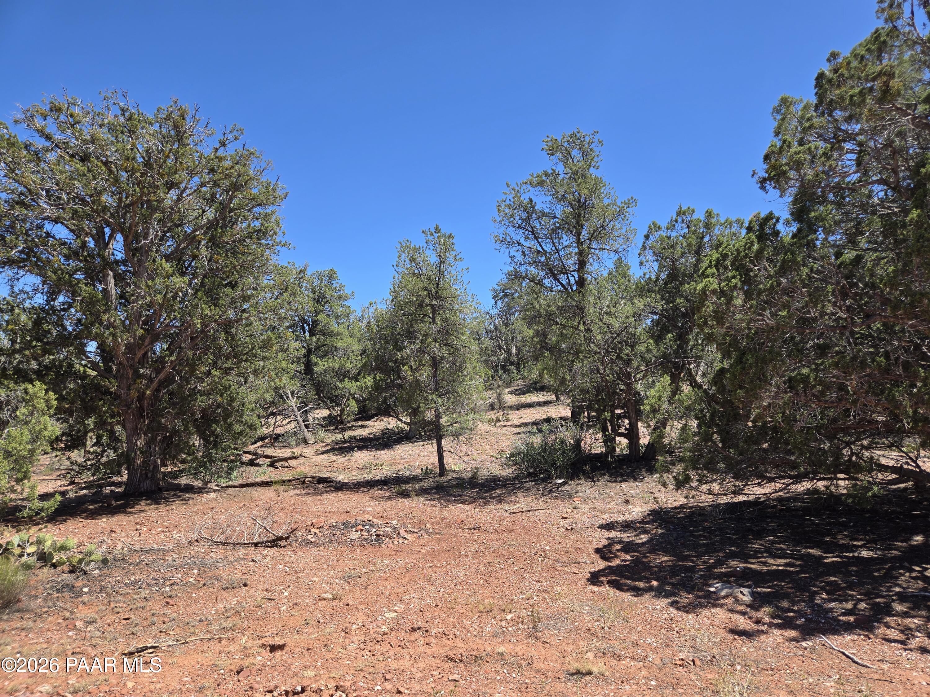 450 Arizona Road Ash Fork, AZ 86320 - Photo 8 of 16 1000034385