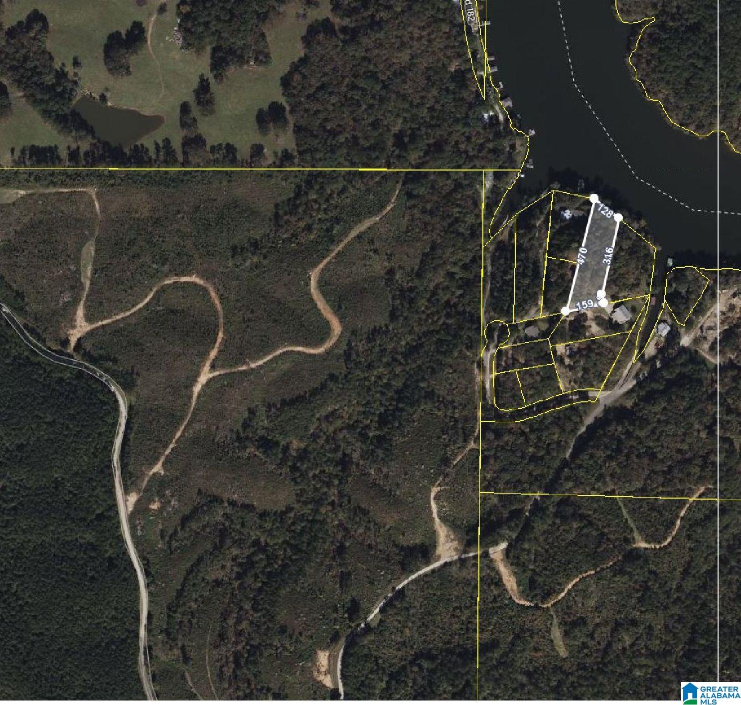 919 County Road Clanton, AL 35046 - Photo 3 of 8