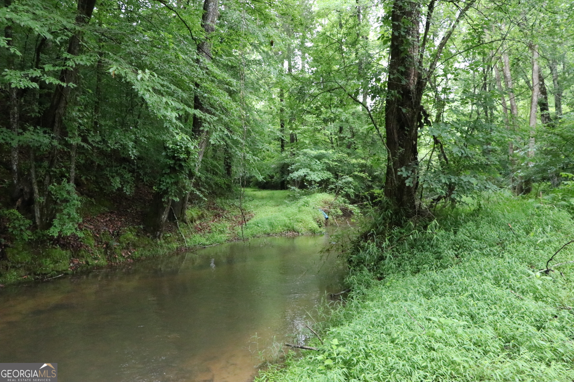 833 Neal Gap Road Summerville, GA 30747 - Photo 40 of 86