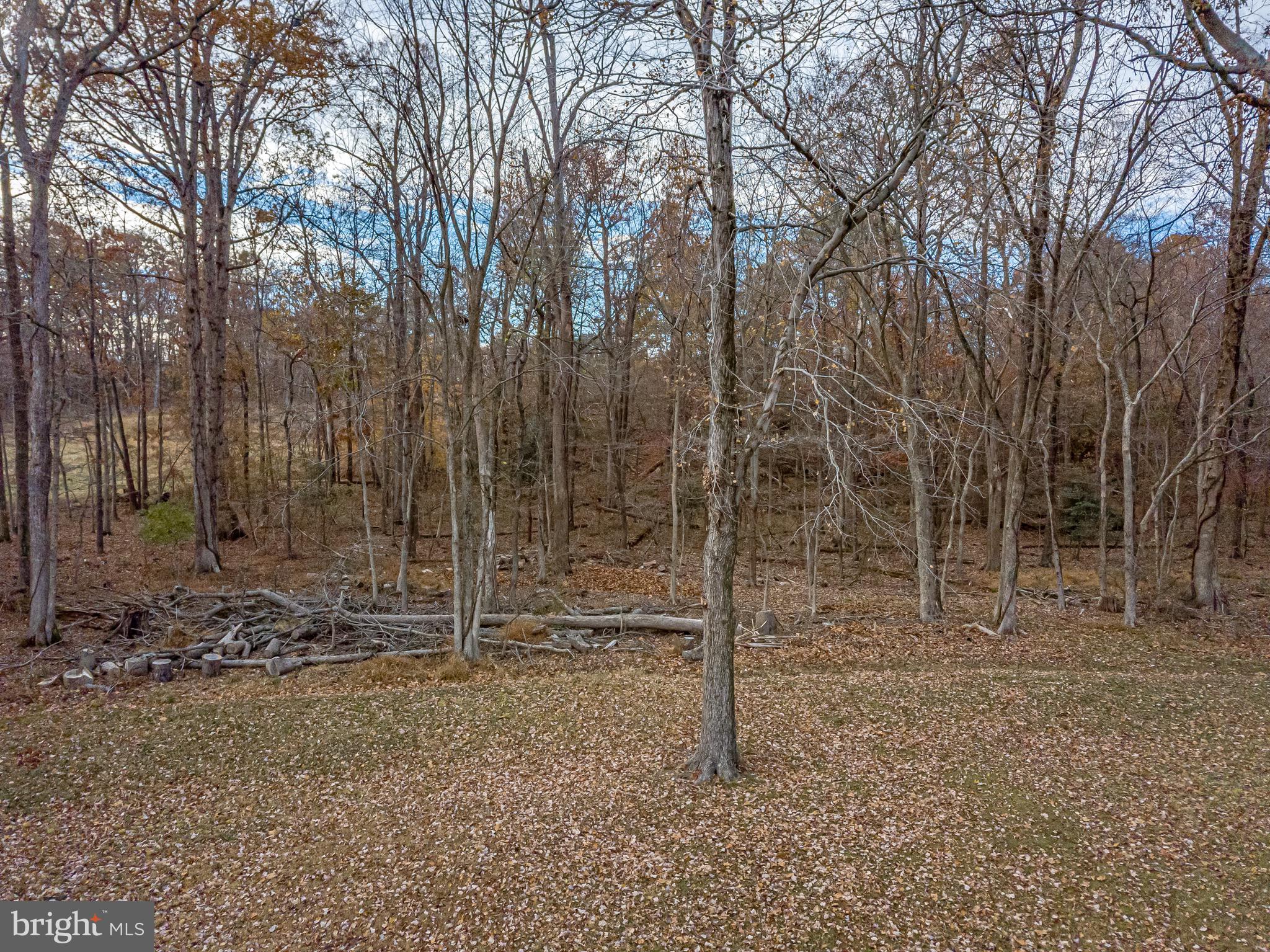 8202 Joshua Court Laurel, MD 20708 - Photo 30 of 34 Backs to conservation area so, no rear neighbors