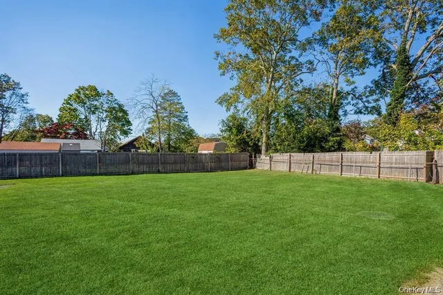 a view of a backyard with a garden and trees