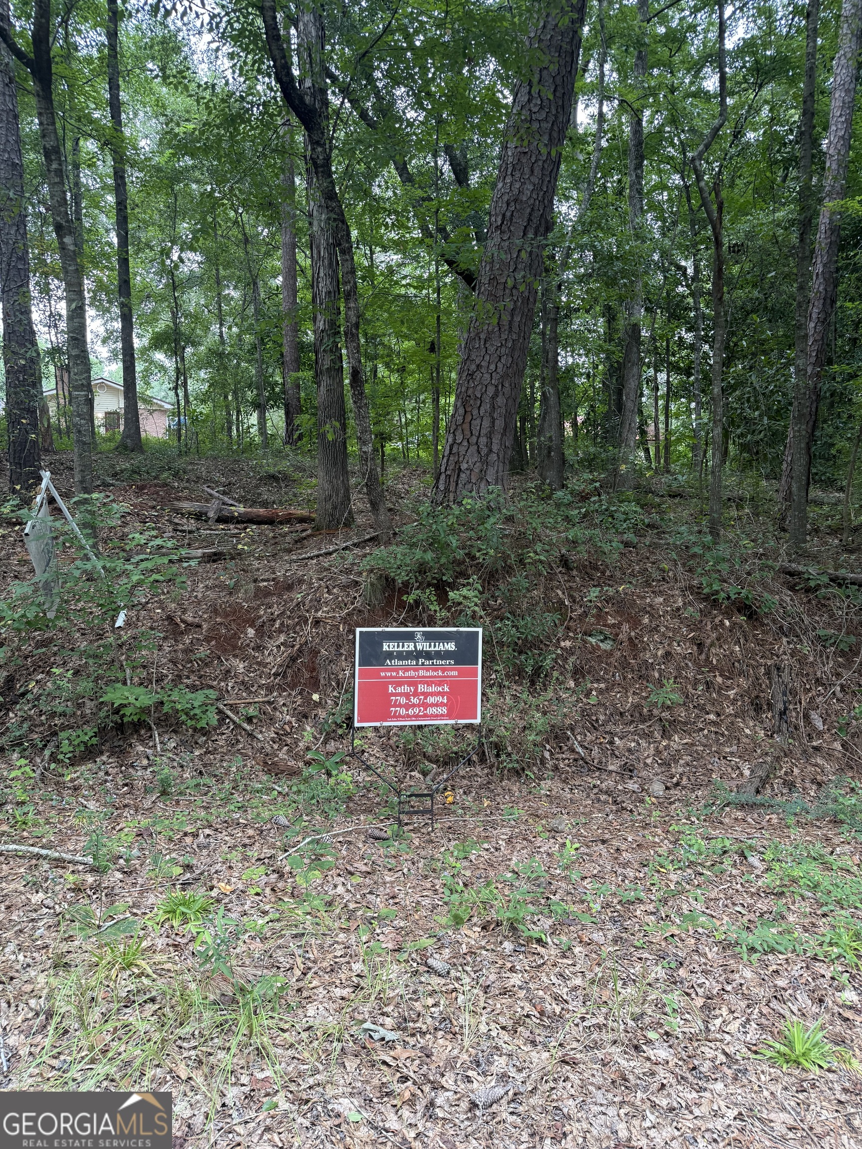 0 Glenwood Road Thomaston, GA 30286 - Photo 4 of 6 a view of a park that has large trees