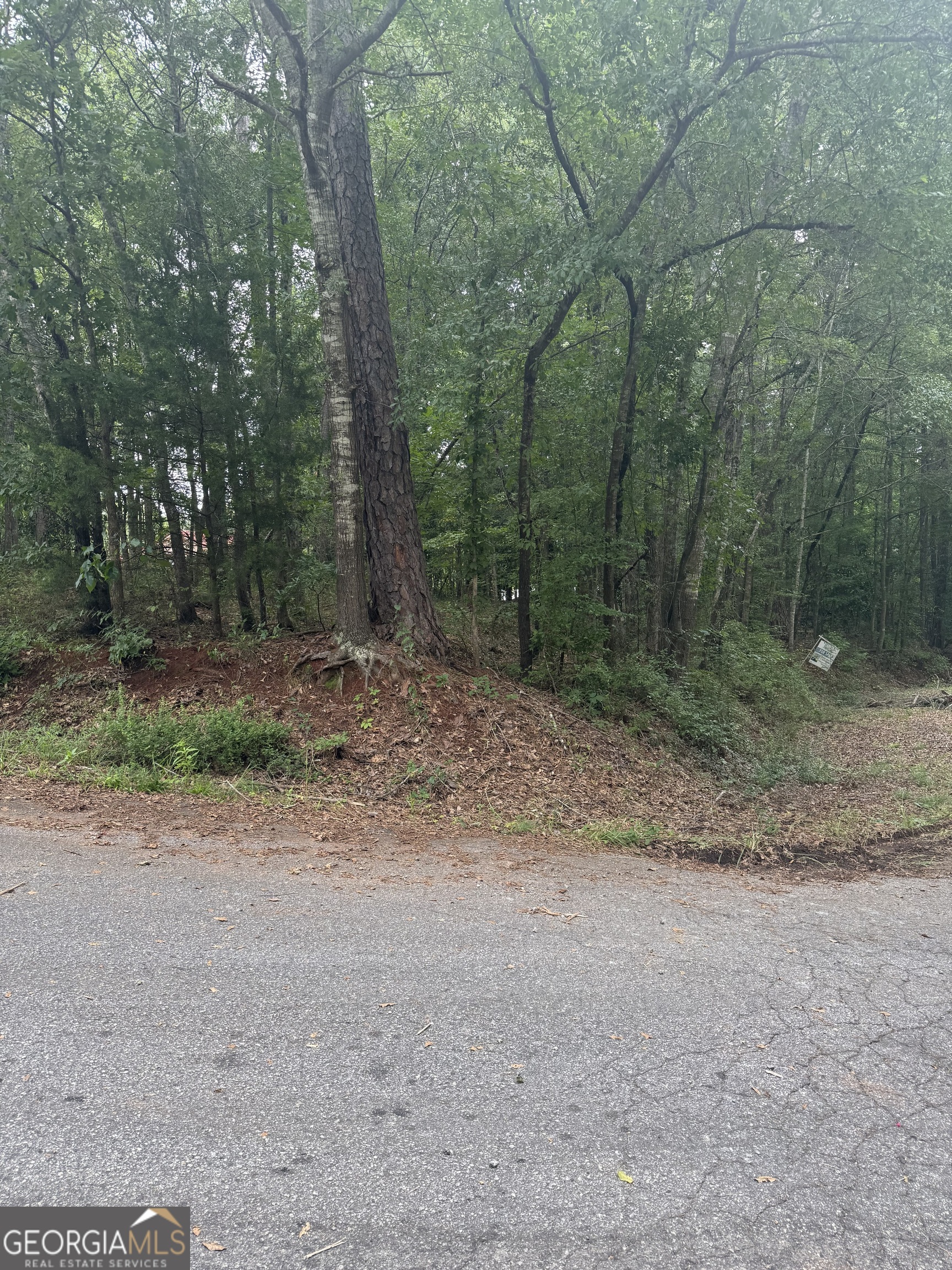 0 Glenwood Road Thomaston, GA 30286 - Photo 5 of 6 a view of a forest