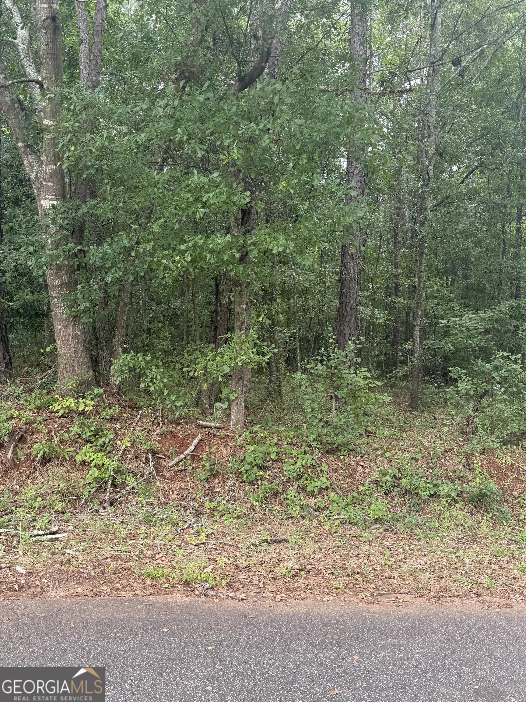 0 Glenwood Road Thomaston, GA 30286 - Photo 6 of 6 a view of a forest with trees