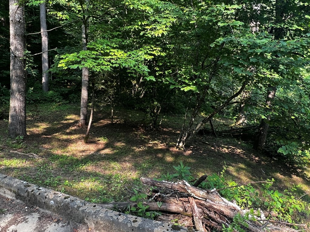 0 Raven Branch Road Del Rio, TN 37727 - Photo 21 of 29