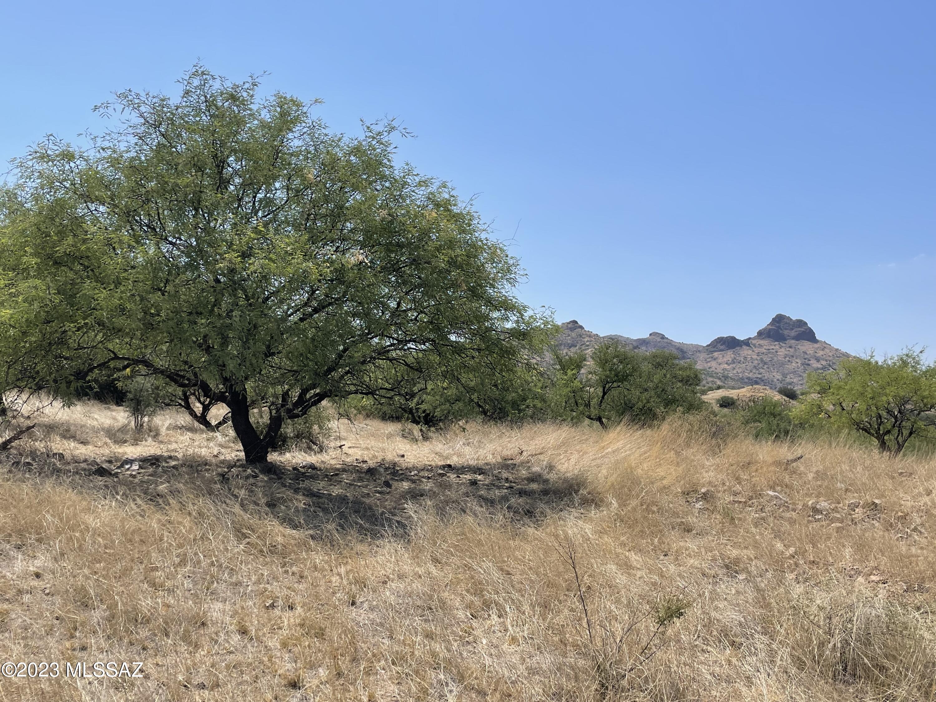 0 Montezuma Well Road, Unit 162 Rio Rico, AZ 85648 - Photo 5 of 26
