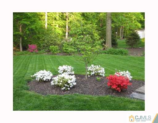 24 Dundee Road Kendall Park, NJ 08824 - Photo 9 of 10 Gallery Image 9