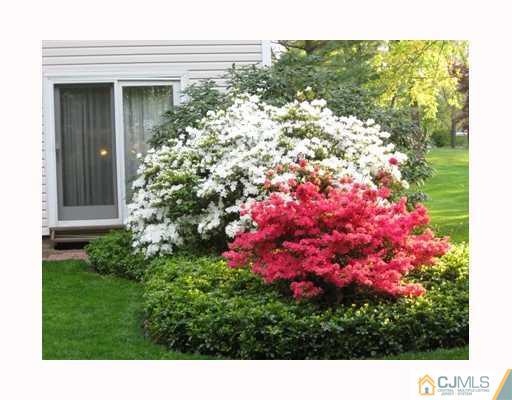 24 Dundee Road Kendall Park, NJ 08824 - Photo 10 of 10 Gallery Image 10