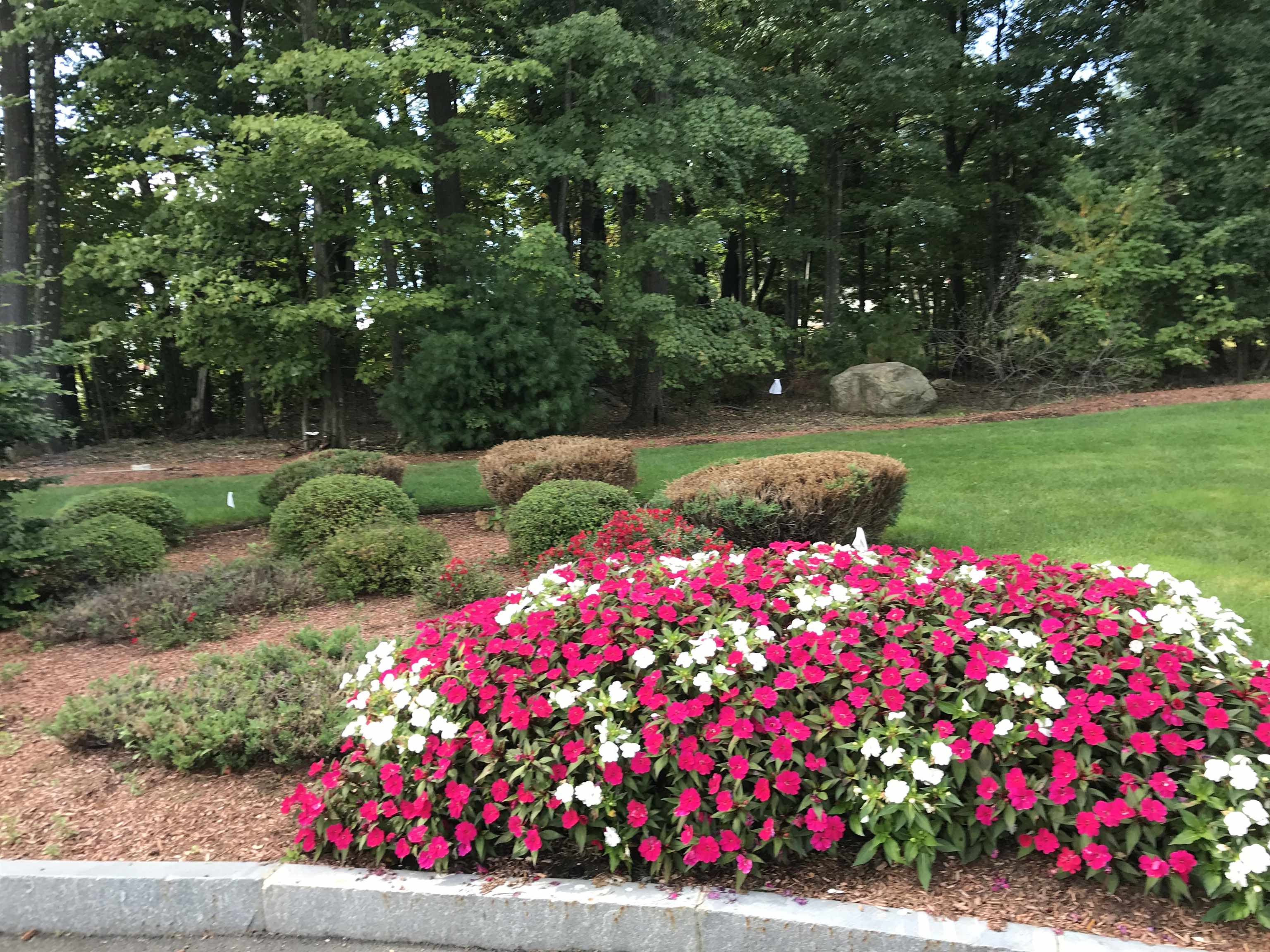 50 Sentinel Court, Unit 208 Manchester, NH 03103 - Photo 6 of 39