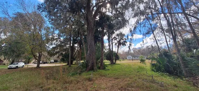 a view of a tree in a yard
