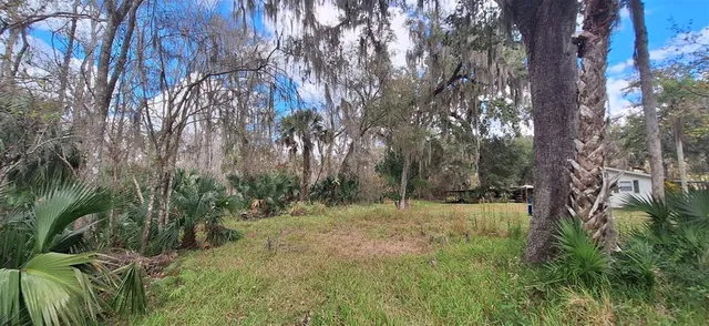a view of outdoor space and trees