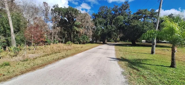 a view of a park with large trees