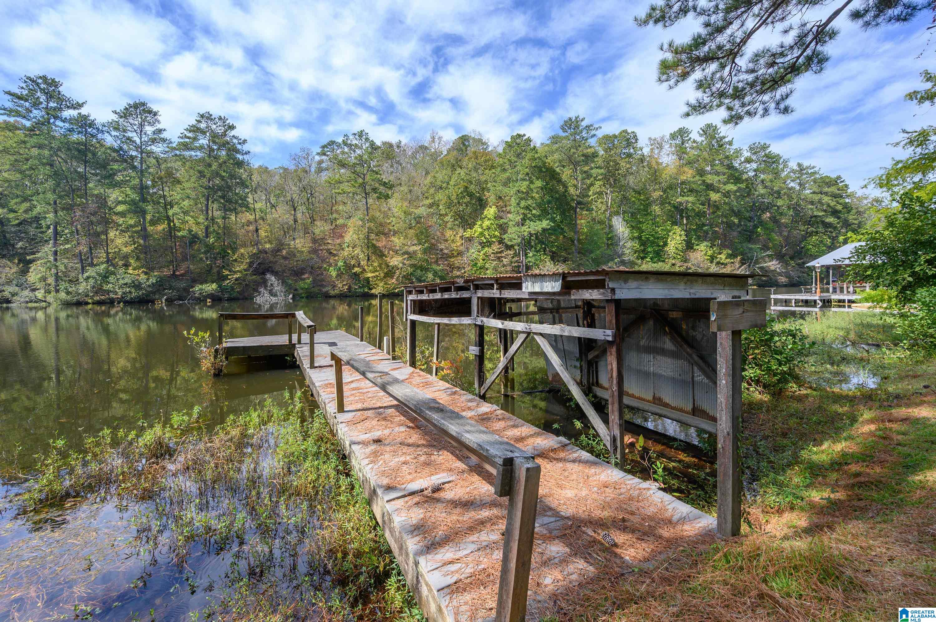 76 Skeeter Creek Road Cordova, AL 35550 - Photo 32 of 50