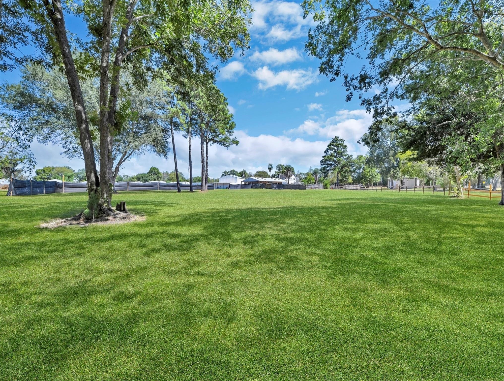 215 Reidland Road Crosby, TX 77532 - Photo 13 of 37 a view of a trees with a big yard